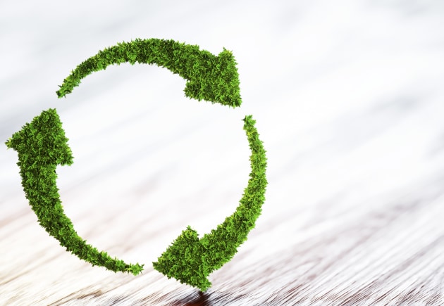 The ACCC has launched two internet sweeps following warnings earlier this month that businesses &lsquo;greenwashing&rsquo; their credentials were in its sights. Image: iStockPhoto