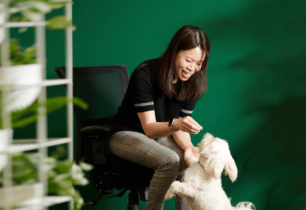 As part of an electrical panel modernisation, Real Pet Food Company recently turned to global industrial automation and digital transformation company, Rockwell Automation. 
Source: Rockwell Automation