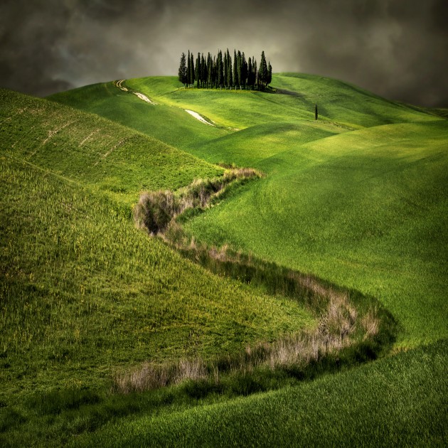 &copy; Timothy Moon