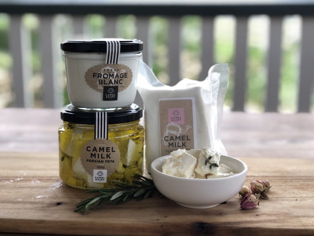 In the non-bovine category, Summer Land Camels took home a full suite of medals for its camel milk products.