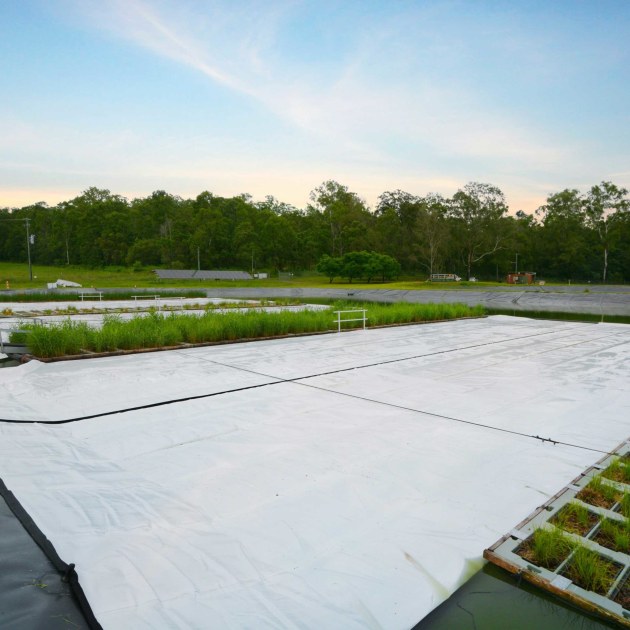 Daisy Dam Covers (Sealed Air): PIDA Outside of the Box Award finalist.