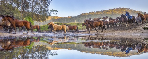 Dani Watson, crossing country