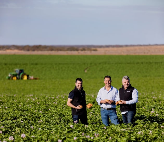 The 2021 Coles Supplier Awards recognised the efforts of 15 food and beverage manufacturers in sustainability, community and innovation.
Darren, John, and Frank Mitolo from Mitolo Family Farms, SA. Mitolo won the Coles Fresh Produce Supplier of the Year award.