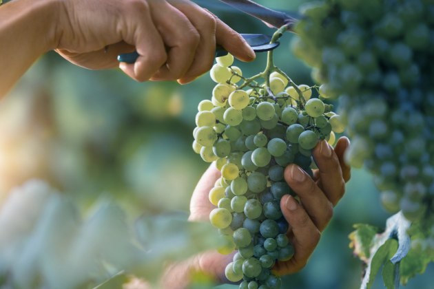 Global logistics services provider, DB Schenker, will be exhibiting its specialised transportation and packaging solutions for the food and beverage industry at Fine Food Australia.
Source: DB Schenker