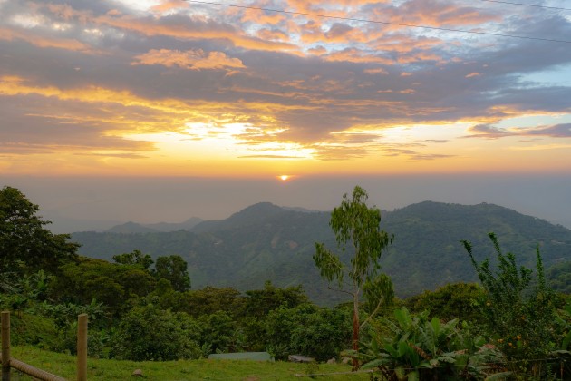 Colombian Jungle. Denise Leisner/Unsplash
