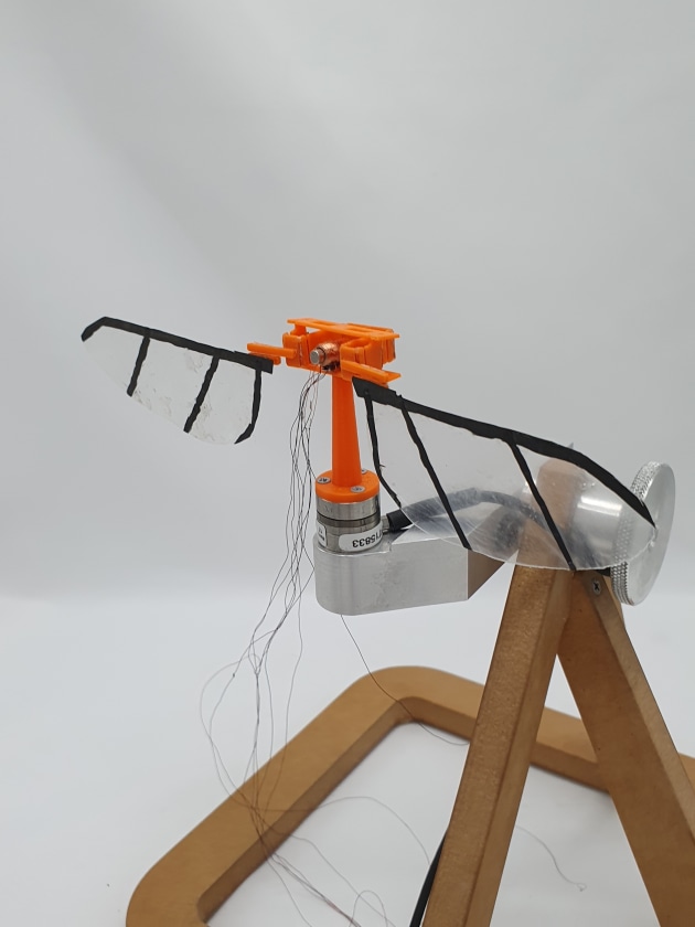UniSA researchers designed a flapping wing drone prototype based on the aerodynamic properties of the dragonfly. (Credit: University of South Australia)