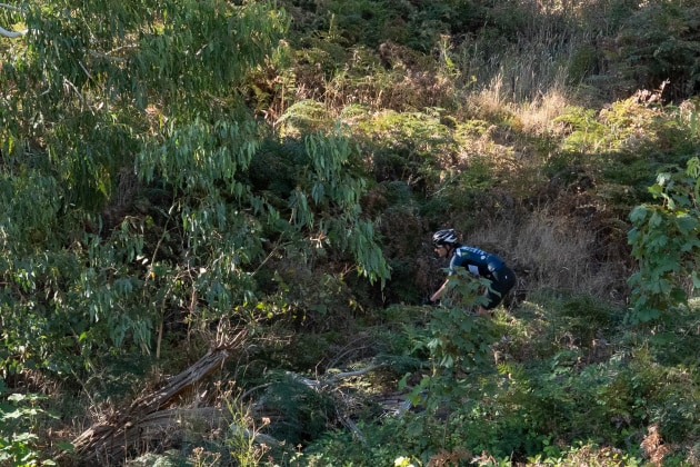 Lush green foliage surrounds riders and spectators around much of the lap