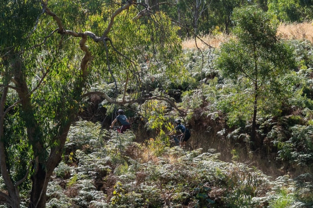 Around most of the course you'd never believe you were just 35km from Adelaide