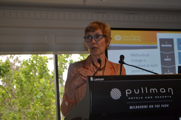 Conference curator, Helen Millicer.