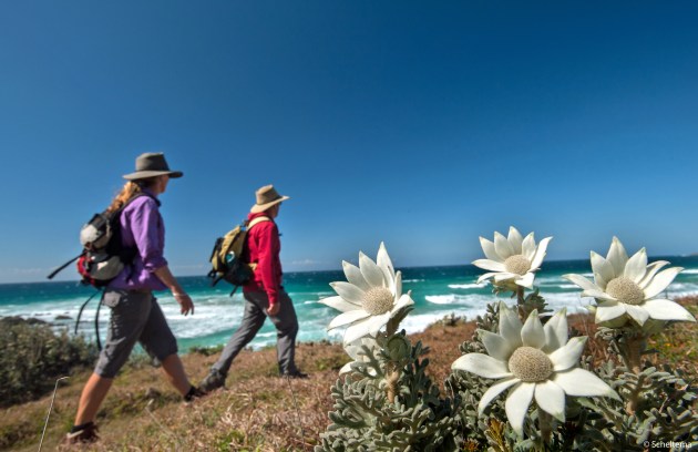 Yuraygir Coastal Walk