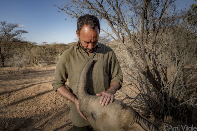 Dave Matthews (@davematthewsband) meets Nadasoit, an orphaned elephant At Reteti Elephant Sanctuary (@r.e.s.c.u.e). Nadasoit was rescued from a well and picked up by a helicopter when she was about 2 weeks old. Today, she&rsquo;s a plump big, girl and looks after all the younger, more fragile orphans that arrive to the sanctuary. &copy; Ami Vitale.