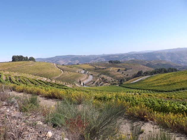 Duoro Valley vineyards. Image supplied