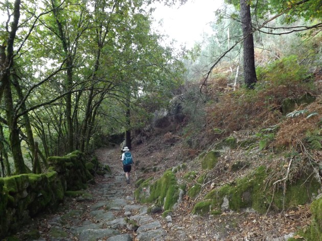 Walking through Peneda Valley. Image supplied