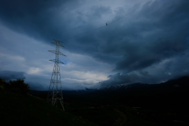 &copy; Aidan Williams