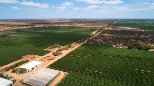 Duxton Vineyards Group has set the target to achieve net zero carbon by 2030 and to maintain a carbon negative agricultural asset portfolio thereafter.