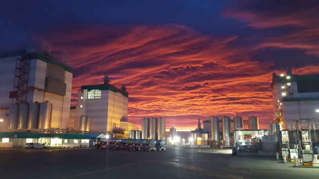 The installation of a 20-megawatt electrode boiler at Fonterra&rsquo;s Edendale plant in New Zealand is the latest step for the dairy giant to stop using coal by 2037.