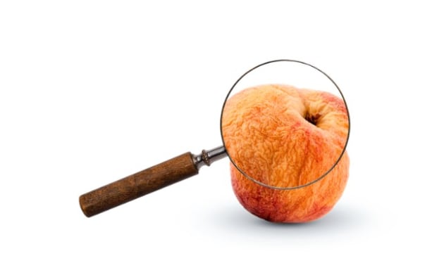 End Food Waste Australia (EFWA) says its Sector Action Plan for the horticulture industry provides nine clear actions to reduce food waste from the farm, along every stage of the supply chain, to the shelf. Fresh produce accounts for 50 per cent of all food waste in Australia.
