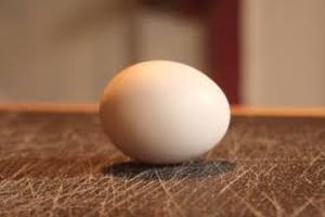 Among the options discussed, producers may have to disclose the number of hens per square metre or per A4 size.