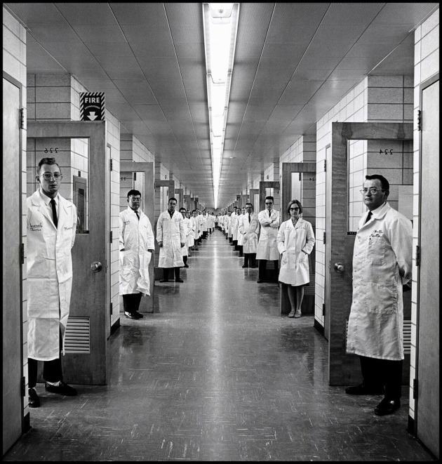 Photo: Elliott Erwitt / Magnum