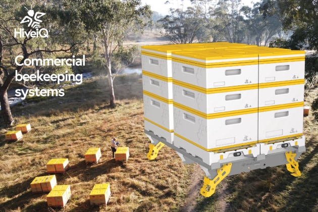 Austrade Australian Export Awards 2024: Emerging Exporter finalist, HiveIQ. (Source: HiveIQ)