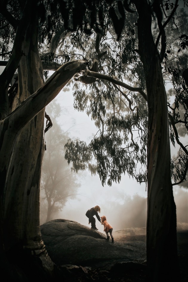 &copy; Shelley Reis. Emerging category. The Annual 2017.