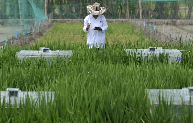 Measuring emissions in agriculture
