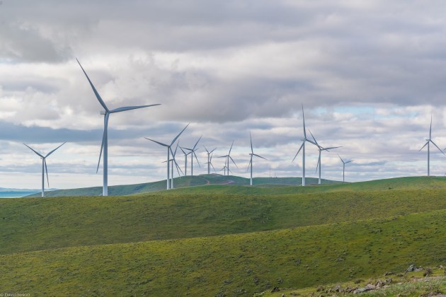 ENGIE's Willogoleche Wind Farm, SA. Coles Group has signed two renewable energy agreements ENGIE and Neoen as part of its commitment to 100 per cent renewable electricity by FY25.