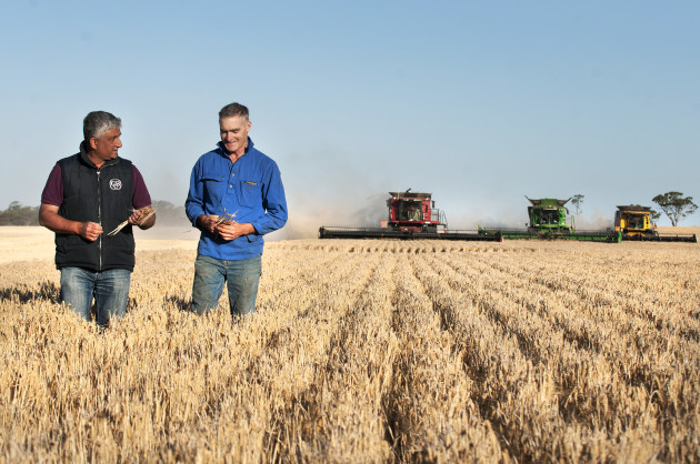 Asahi Beverages will buy malting barley direct from Australian barley growers in a major change to its supply chain operations, it says. The company buys more than 70,000 tonnes of barley a year.