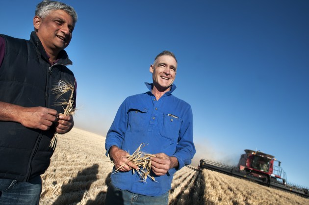 Asahi Beverages will buy malting barley direct from Australian barley growers in a major change to its supply chain operations, it says. The company buys more than 70,000 tonnes of barley a year.