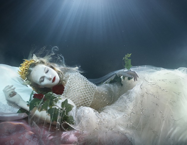 &copy; Zena Holloway
