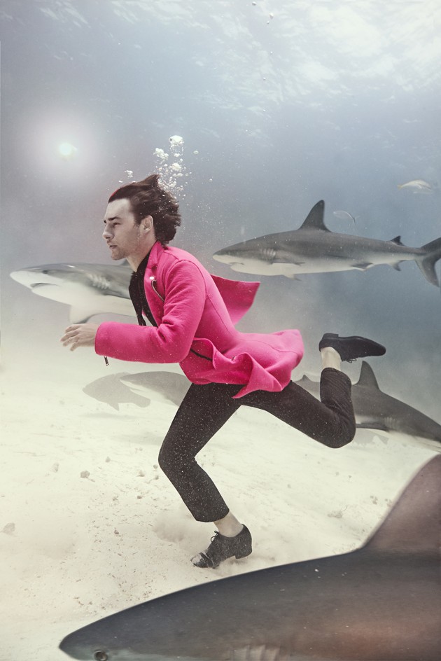 &copy; Zena Holloway