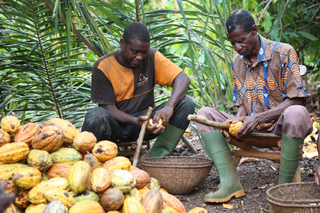 Ferrero delivered training to over 134,000 farmers in C&ocirc;te d&rsquo;Ivoire and Ghana, with the aim of promoting responsible agricultural practices. 
(Image: Ferrero Group)