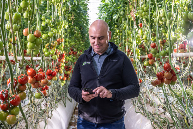 Sam Kisvarda from fruit and veg grower Flavorite using the Refresh:Food smartphone app.