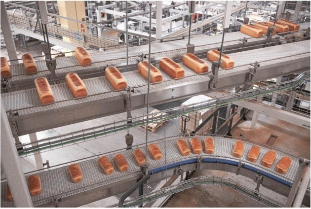 FlexLink WLX Series Modular Plastic Belt Conveyors.
(Image supplied: FlexCAM)
