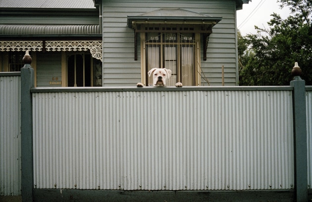 &copy; Jesse Marlow. Foo was here.