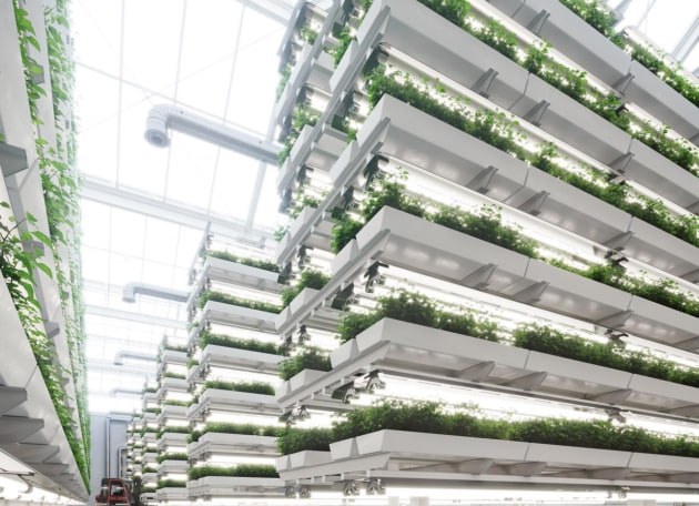 The continuing pandemic has fundamentally changed so many things we once took for granted and accelerated certain technologies. Futurist Tony Hunter looks at what this means for the future of food?