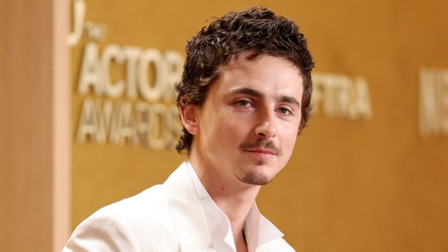 Timoth&eacute;e Chalamet attends the 32nd Annual Actor Awards. Amy Sussman/Getty Images
