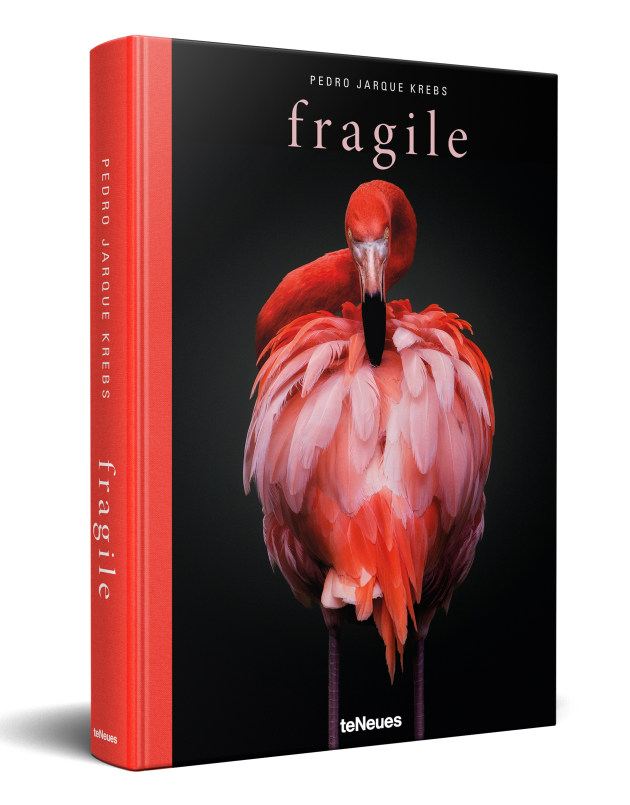 Gold in Book - Pedro Jarque Krebs: Fragile.