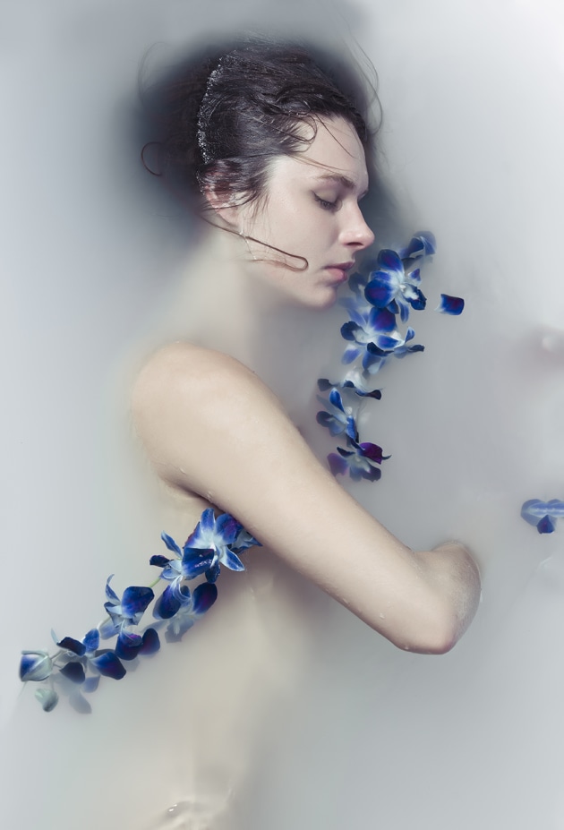 &copy; Lori Cicchini