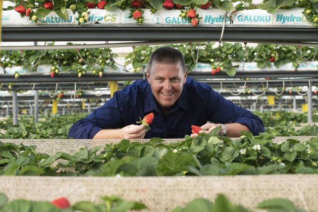 Pi&ntilde;ata Farms MD Gavin Scurr