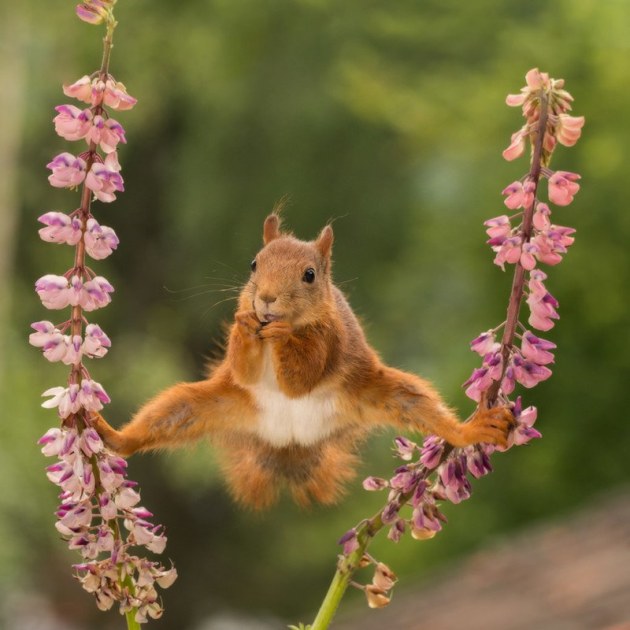Split. &copy; Geert Weggen.