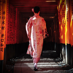 The &Archie website is designed to facilitate the sale of images taken by amateur enthusiasts. This image, Geisha Walk, was taken by Zac Lowell.