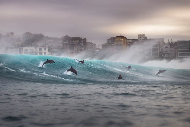 Dolphins ride the waves alongside surfers at Tamarama Beach, Sydney, during a powerful swell and offshore winds. The pod stayed with the surfers for more than an hour, moving through the lineup as naturally as the people around them. | Gergo Rugli / Ocean Photographer of the Year