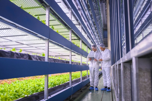 Agrifoodtech industry professionals across the Asia-Pacific region are headed to Singapore at the beginning of November for International Agri-Food Week.
Source: Getty Images