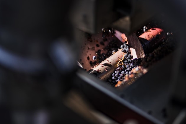 For every two litres of wine produced there is one litre of edible wine derivative that can be upcycled.