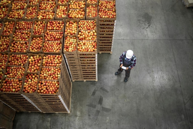 As the organisation looks back on the 2023-24 year, the Food Standards Australia and New Zealand (FSANZ) Annual Report highlights the strides made in the controversial field of genetically modified food items. Unsurprisingly, not everyone is happy with the changes being set up for the future.
Source: Getty Images