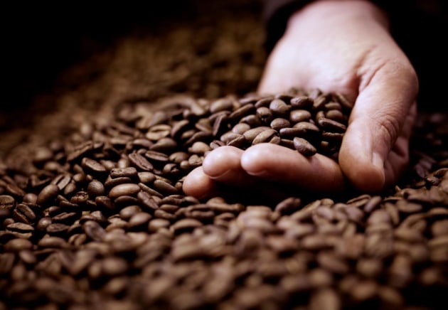 Research has found that climate hazards have increased in all of the top 12 coffee producing regions. Image: Getty