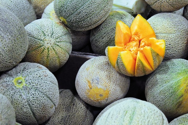 The NSW farm linked with the listeria outbreak has re-commenced supplying rockmelons.