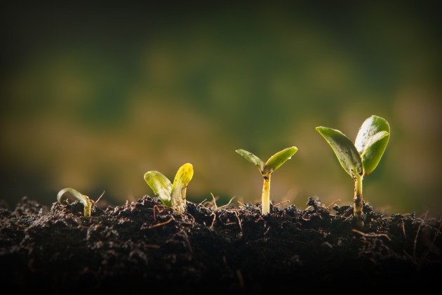EXBERRY color supplier, GNT, has launched an independent investment firm, aiming to accelerate innovation and boost sustainability at every stage of the value chain.
Source: iStock