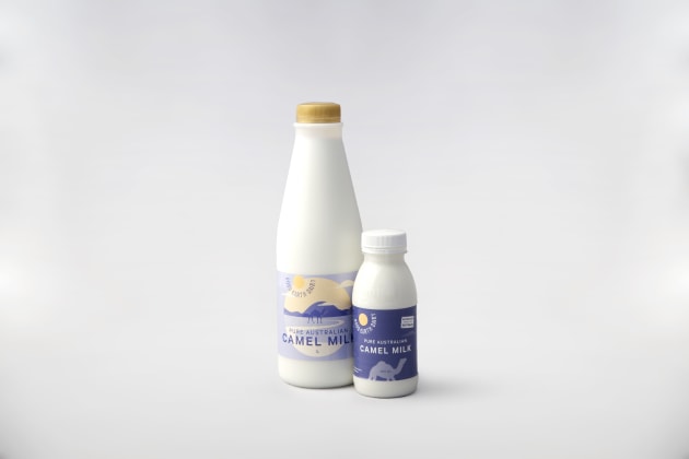 Good Earth Dairy sells fresh camel milk through various supermarkets in Western Australia.